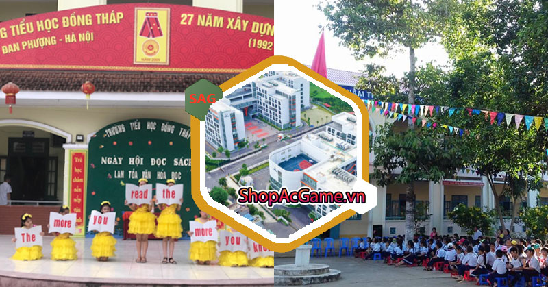 Danh sách các trường tiểu học ở Đồng Tháp