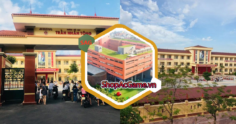 Danh sách các trường tiểu học ở Nam Định