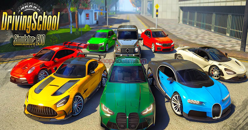 Driving School Simulator Evo
