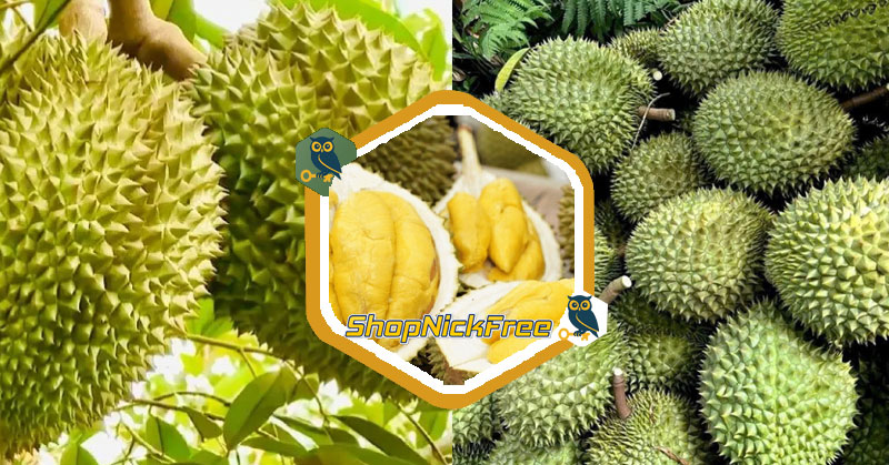Giá Sầu riêng hôm nay 13/07/2025