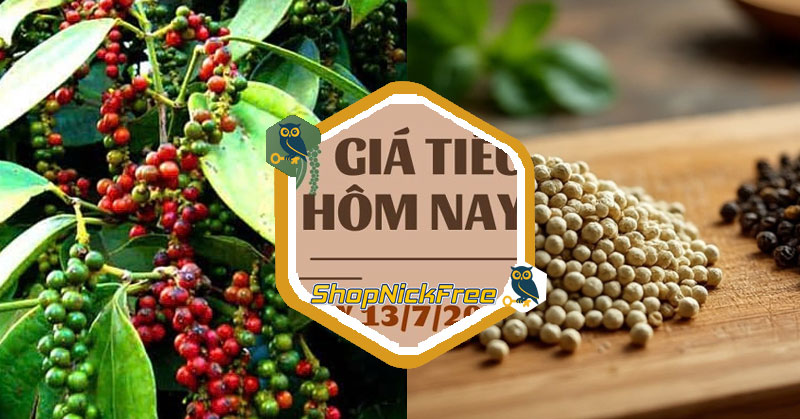Giá Tiêu hôm nay 13/07/2025