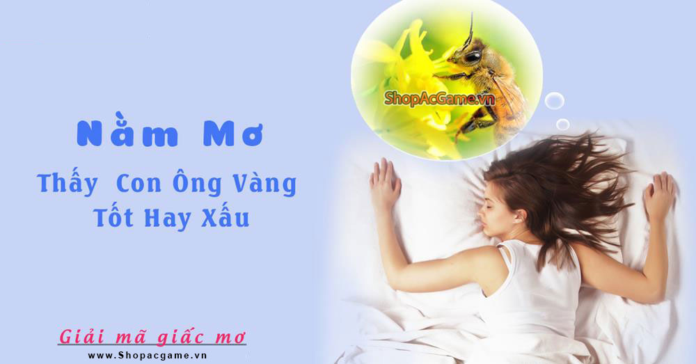 Nằm mơ thấy con ong vàng Tốt hay xấu - Đánh số con gì?