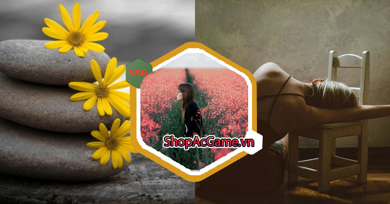 Nỗi đau là gì nếu không có hạnh phúc?