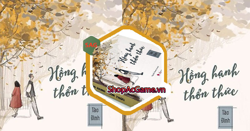 Truyện Hồng Hạnh Thổn Thức - Tào Đình