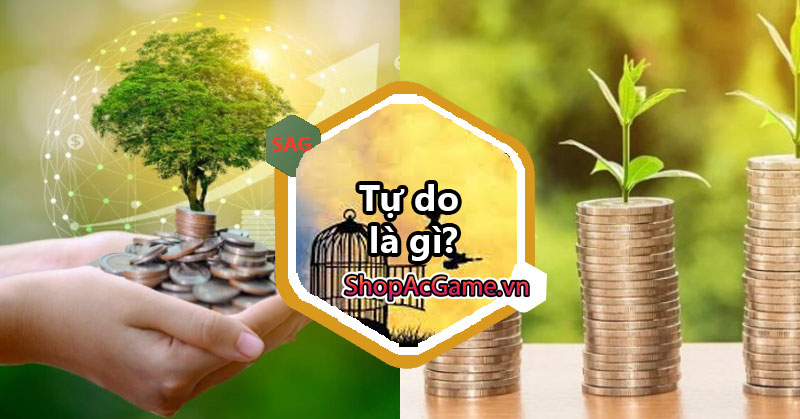 Tự do là gì? Thực chất của tự do