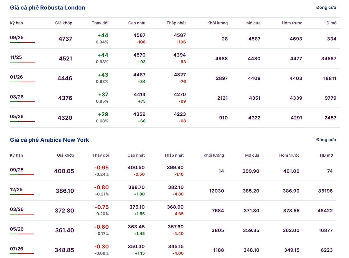 Giá Arabica và Robusta ngày 12/9/2025 mới nhất